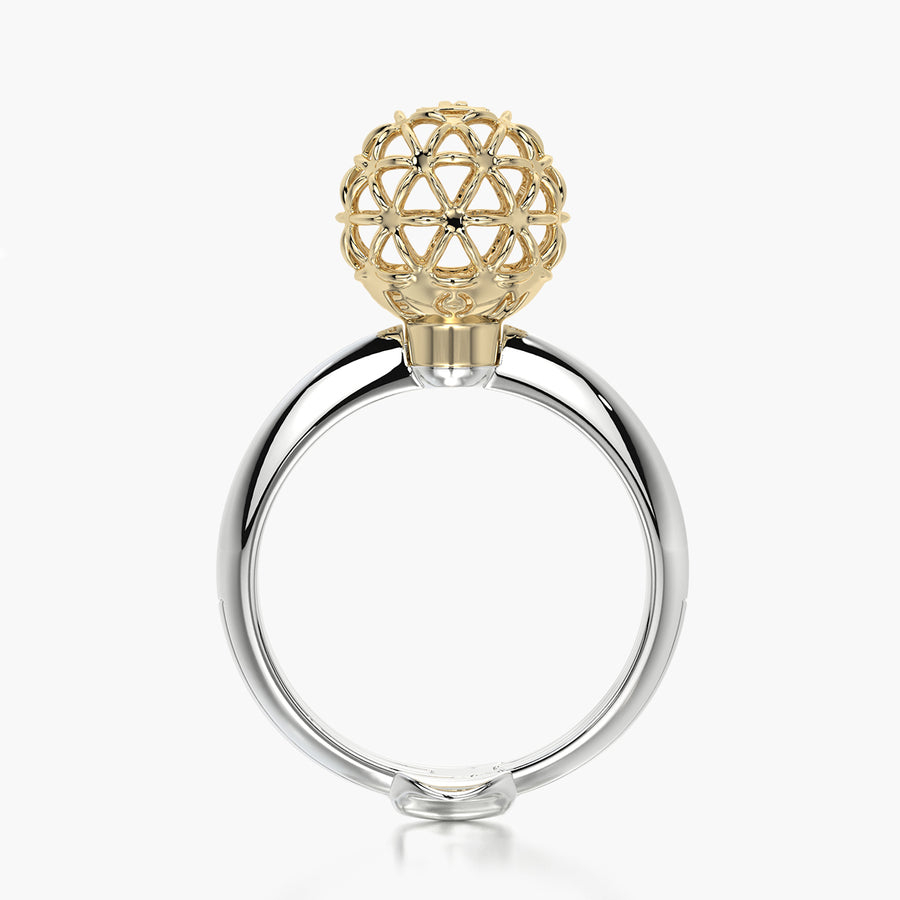 Classic ring & Charm Sun Core