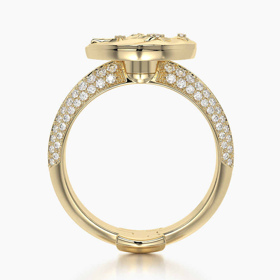 Pave Ring & Charm Aquarius