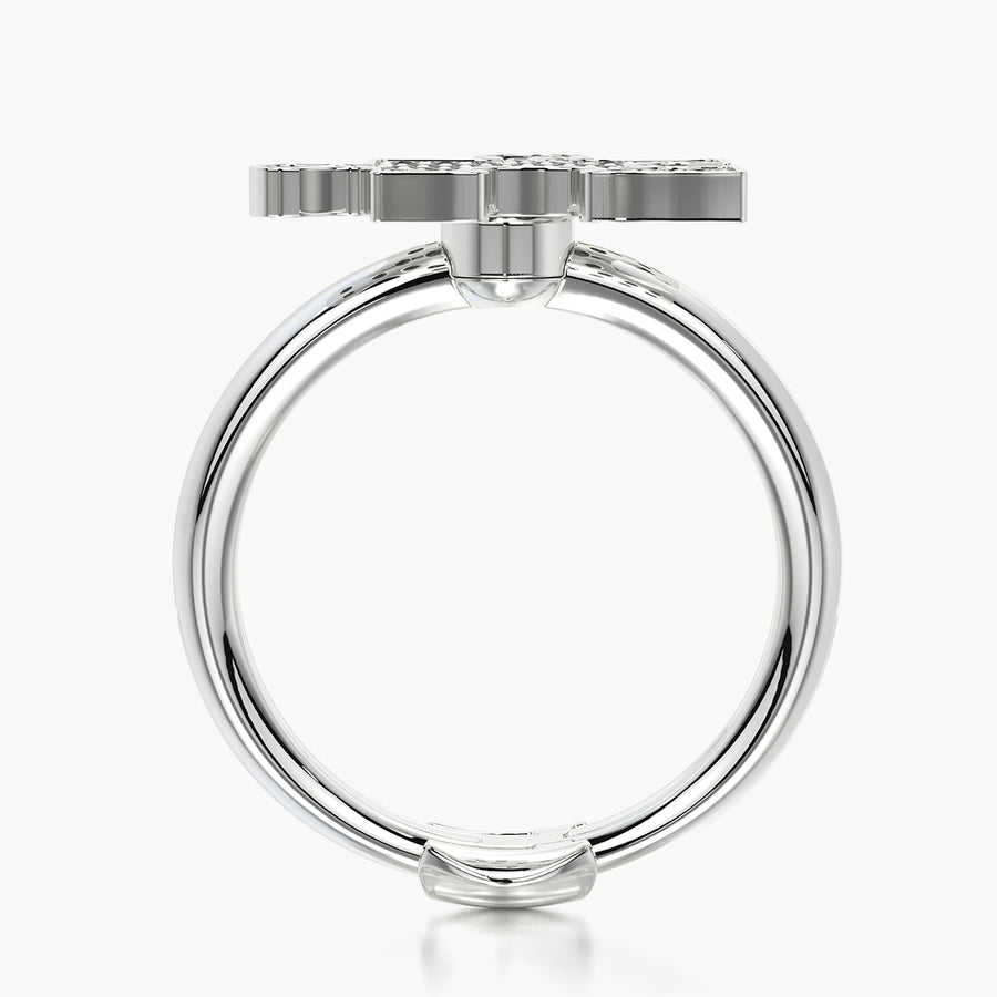 Rounded Ring & Charm Puzzle