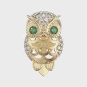 Сharm Owl